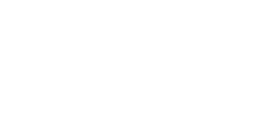 CM Cengiz Glanzwerk